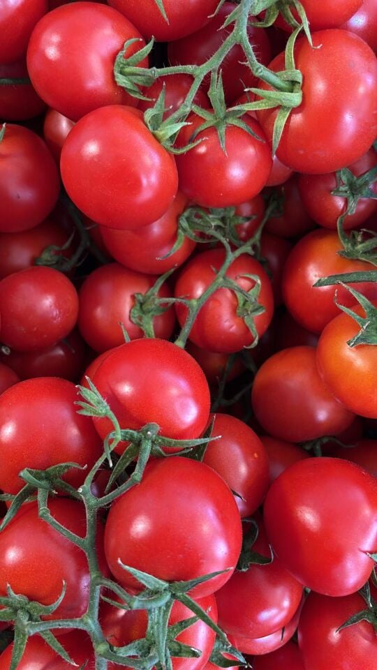 Salkım Domates 1 Kg
