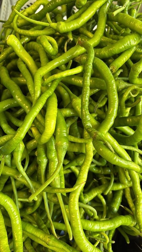 Sivri Biber 1 Kg