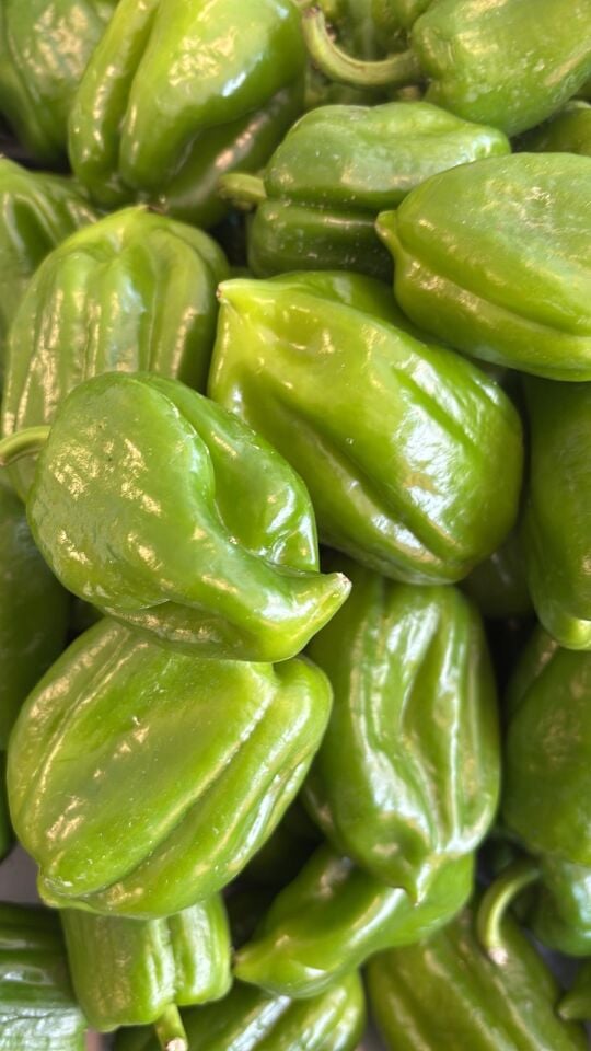 Dolmalık Biber 1 Kg