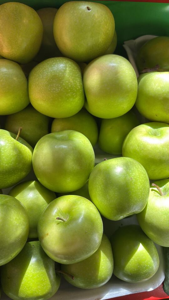 Yeşil Elma 1 Kg