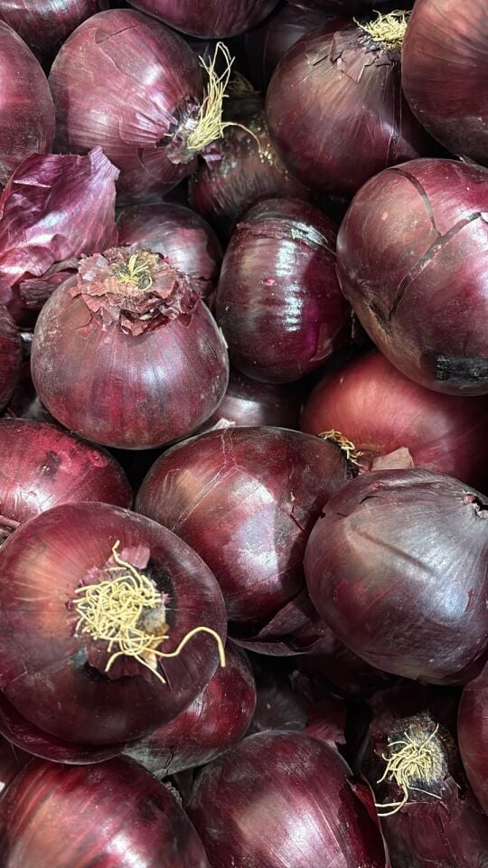 Kırmızı Soğan 1 Kg