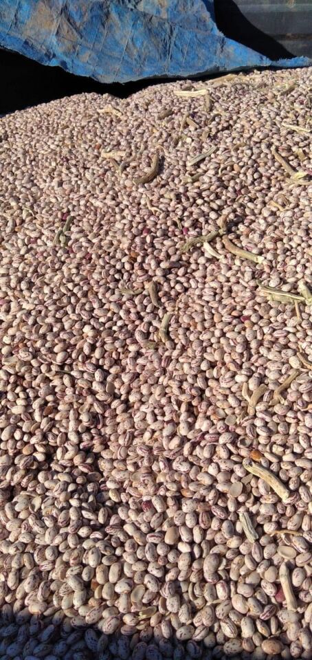 Barbunya 1 Kg Nigde Yeni mahsül
