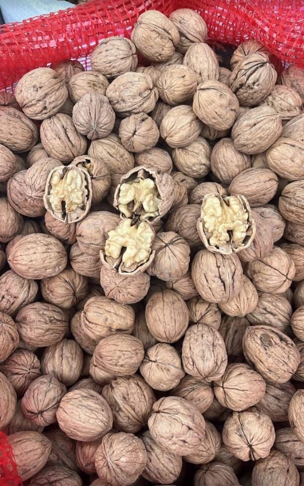 YERLİ İNCE KABUK DUBLE CEVİZ 1 KG