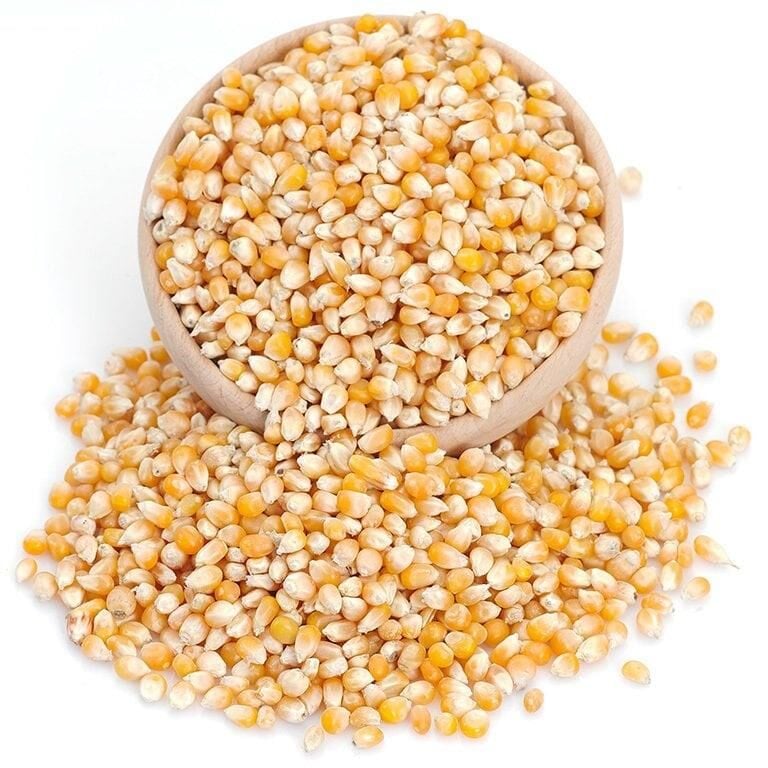 CİN MISIR 1 KG