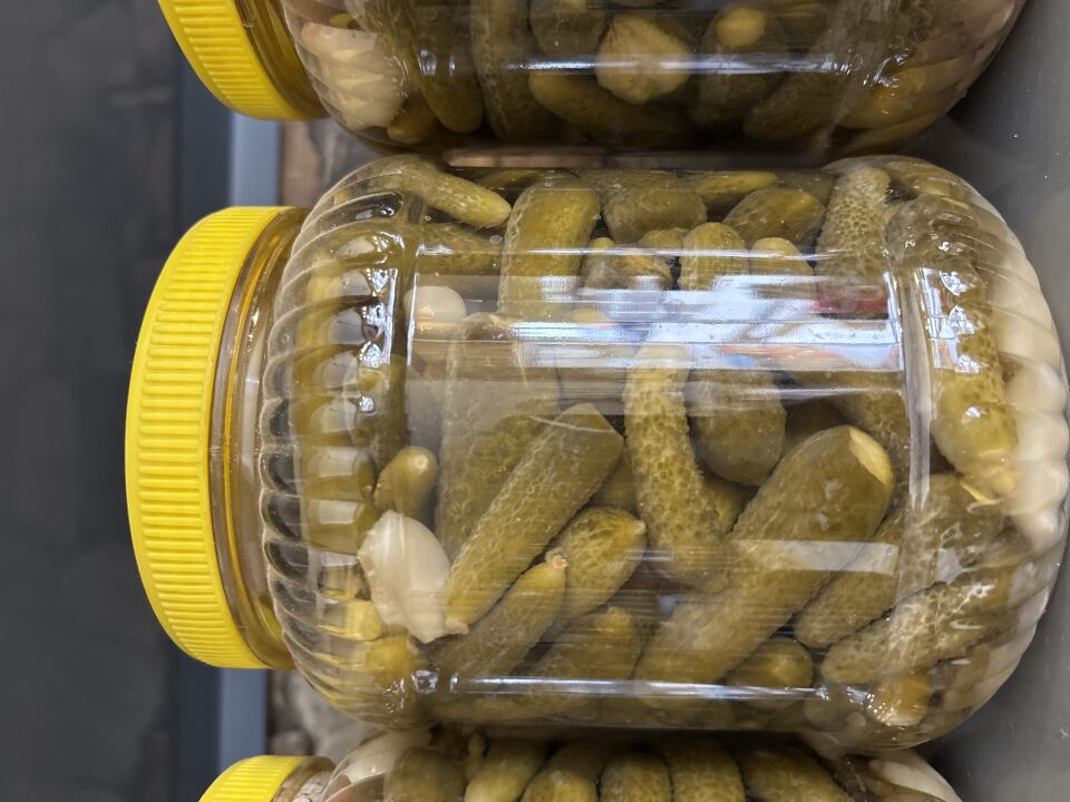 Kornişon doğal turşu 2 kg pet