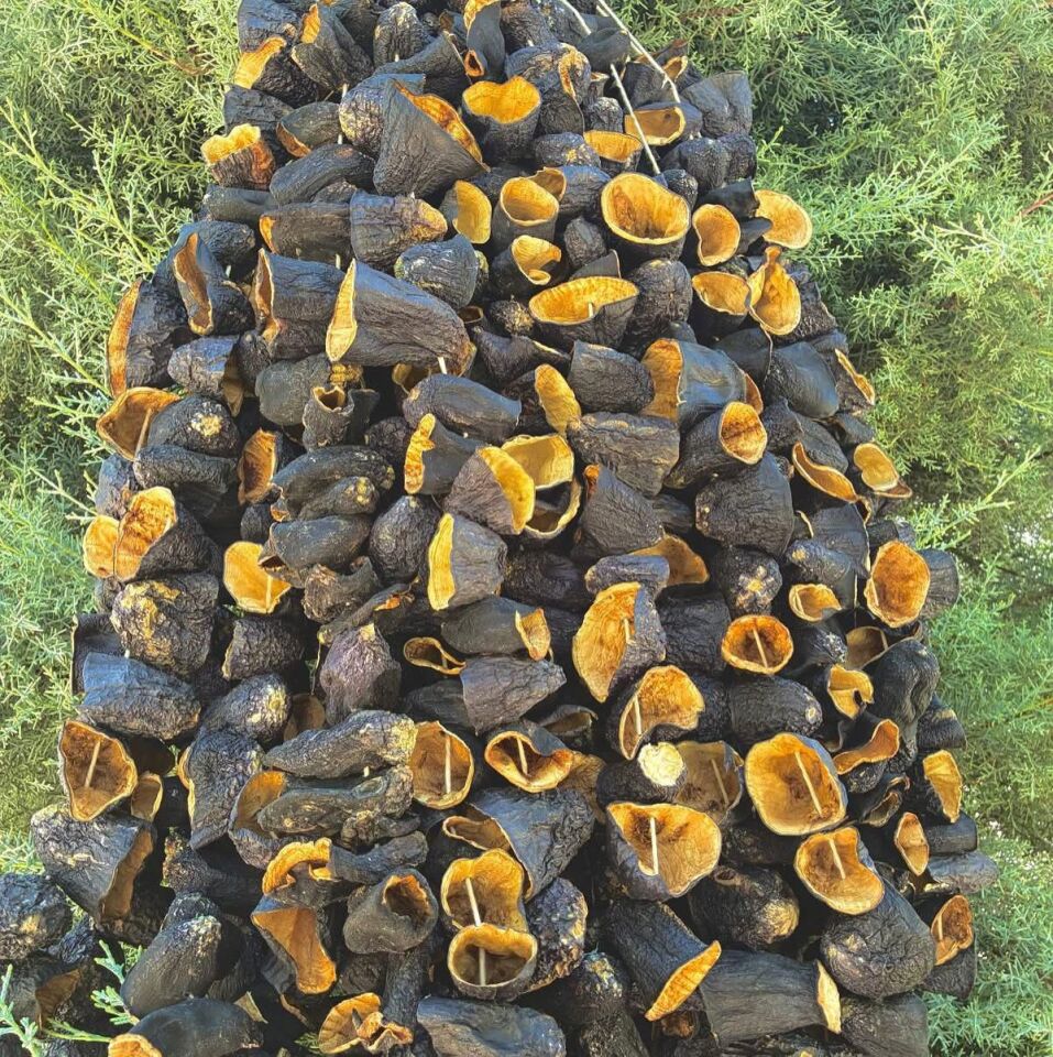 KURUTULMUS PATLICAN