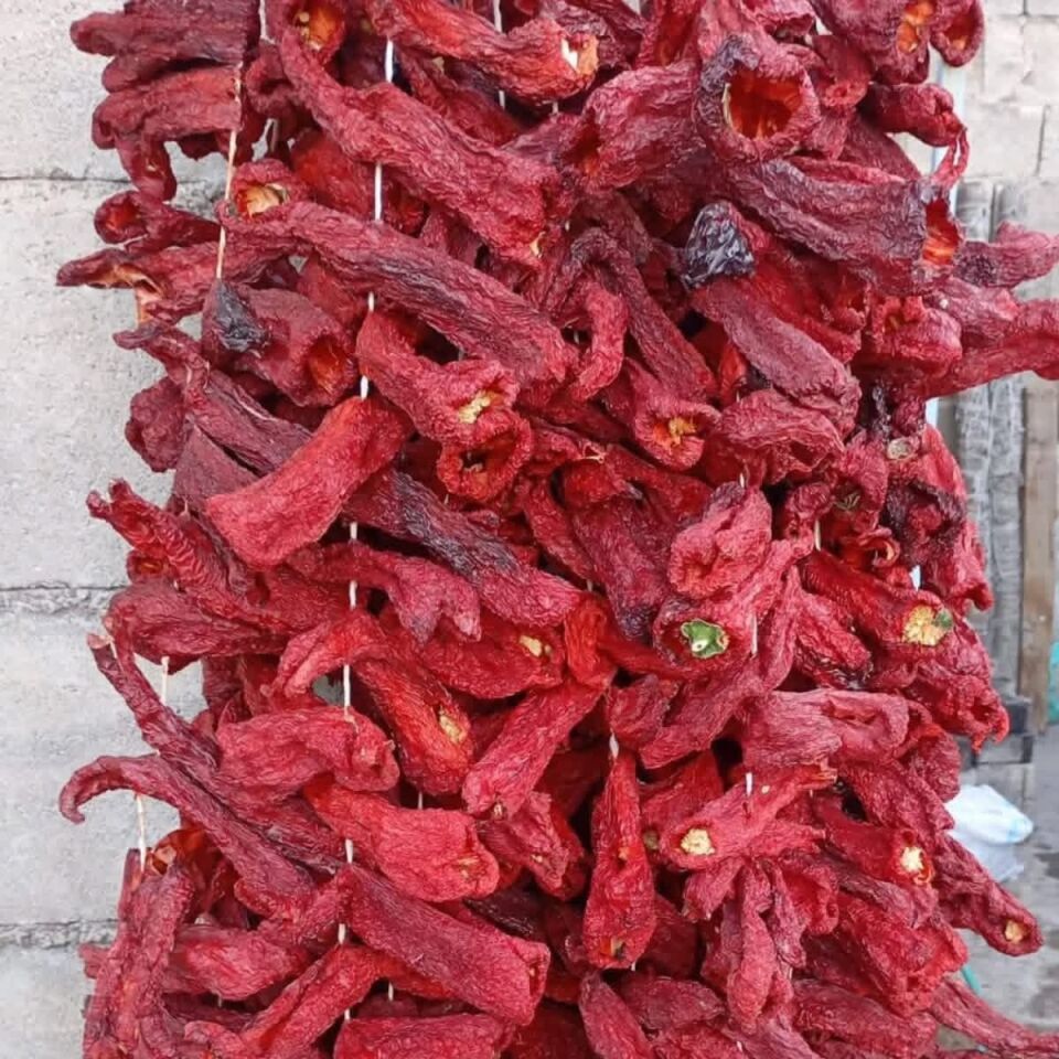 KURUTULMUŞ BİBER
