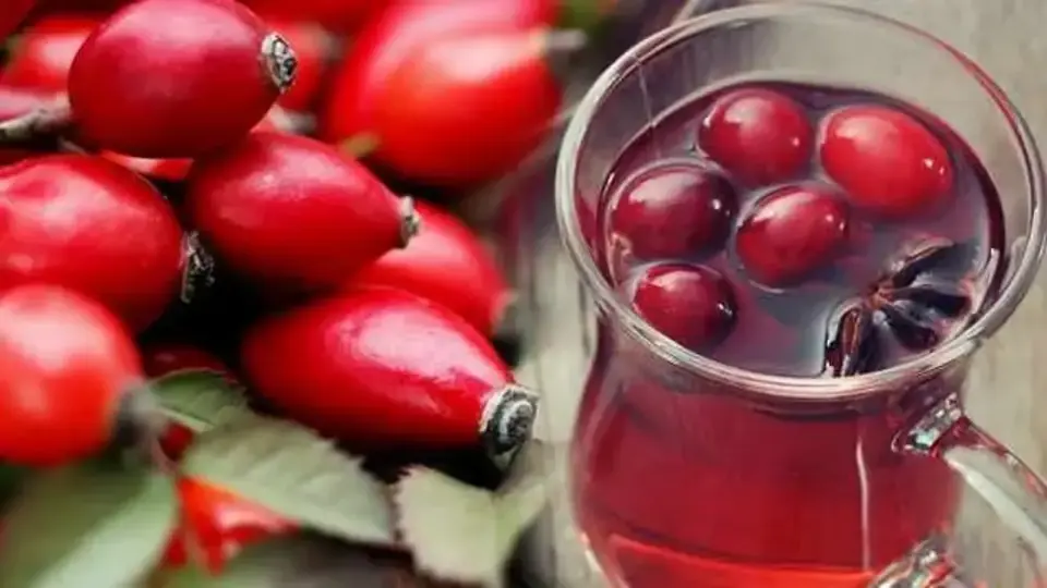 KUŞBURNU ÇAYI 250 GR